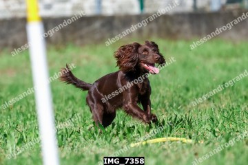 IMG_7358.jpg