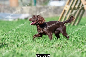 IMG_7370.jpg