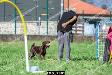 IMG_7381.jpg