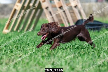IMG_7396.jpg