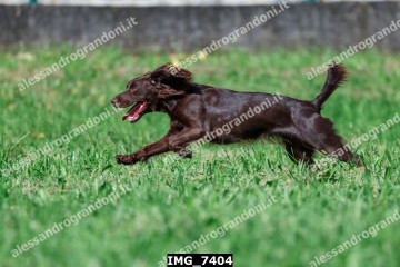 IMG_7404.jpg
