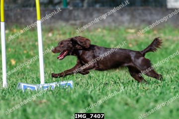 IMG_7407.jpg