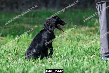 IMG_7440.jpg