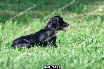 IMG_7442.jpg