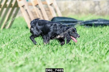 IMG_7465.jpg