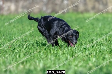IMG_7470.jpg