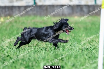 IMG_7514.jpg
