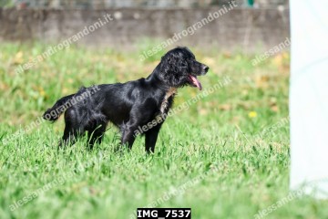 IMG_7537.jpg