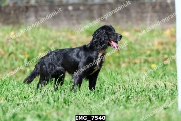 IMG_7540.jpg
