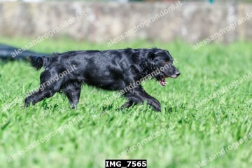 IMG_7565.jpg