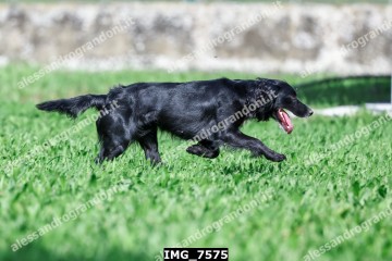 IMG_7575.jpg
