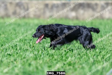 IMG_7586.jpg