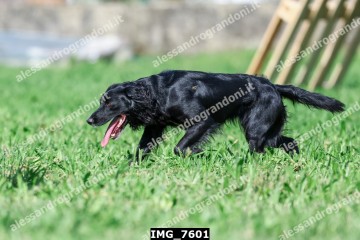 IMG_7601.jpg