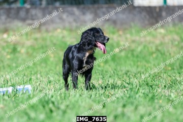 IMG_7635.jpg
