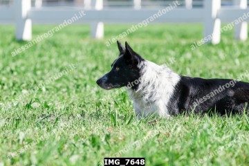 IMG_7648.jpg