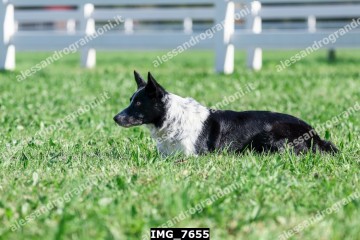 IMG_7655.jpg