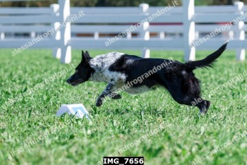 IMG_7656.jpg