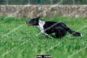 IMG_7698.jpg