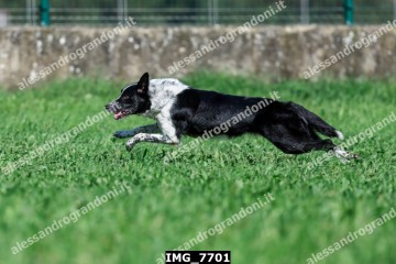IMG_7701.jpg