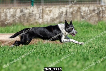 IMG_7795.jpg