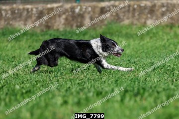 IMG_7799.jpg