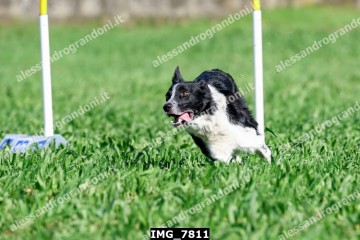 IMG_7811.jpg