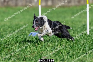 IMG_7814.jpg