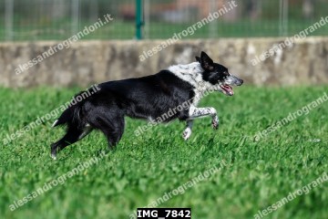 IMG_7842.jpg