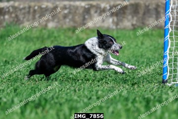 IMG_7856.jpg