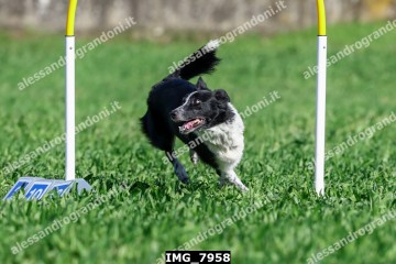 IMG_7958.jpg
