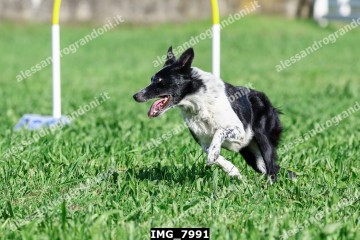 IMG_7991.jpg