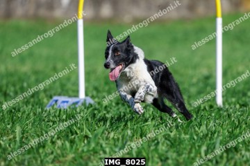 IMG_8025.jpg