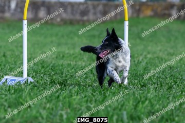 IMG_8075.jpg