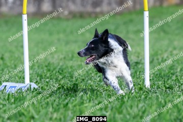 IMG_8094.jpg