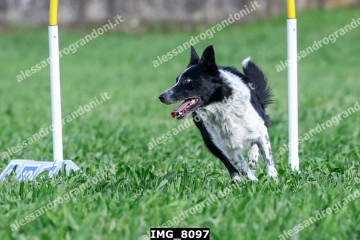IMG_8097.jpg