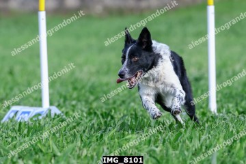 IMG_8101.jpg