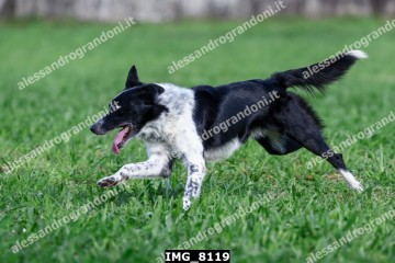 IMG_8119.jpg