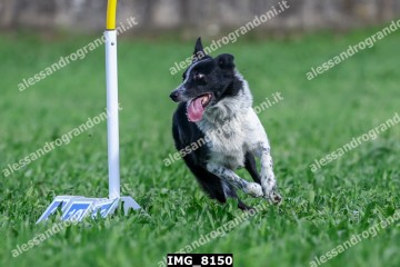 IMG_8150.jpg