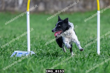 IMG_8153.jpg