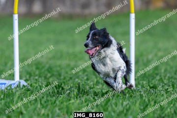 IMG_8160.jpg