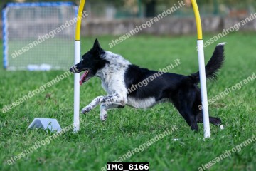 IMG_8166.jpg