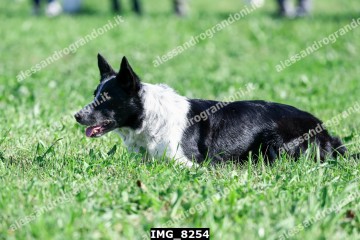 IMG_8254.jpg
