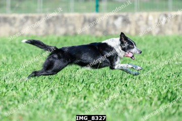 IMG_8327.jpg