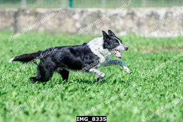 IMG_8335.jpg