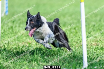 IMG_8357.jpg