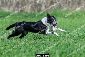 IMG_8396.jpg