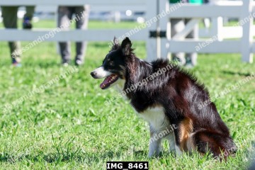 IMG_8461.jpg