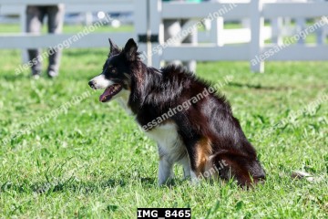 IMG_8465.jpg