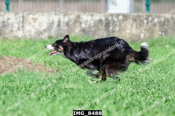 IMG_8488.jpg