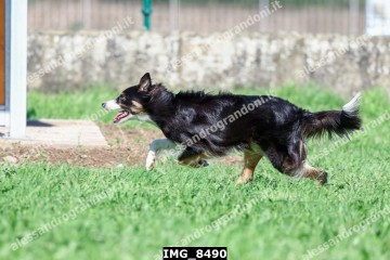IMG_8490.jpg